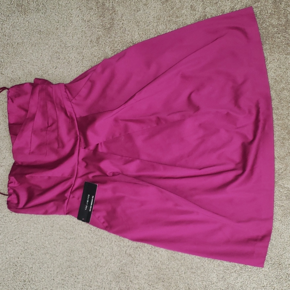 THE LIMITED Cocktail Strapless Dress